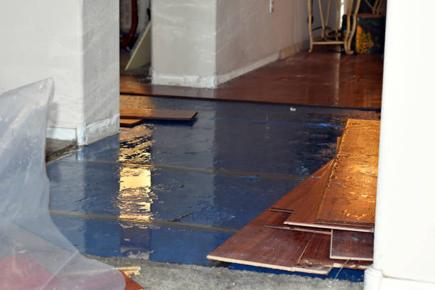 Professional Flood Cleanup technician working in Danese, WV